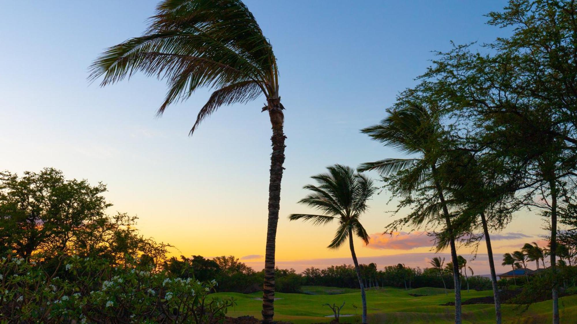 וויקולואה Hawaii Roma Elevated 4Br Kamilo Home With Golf Course View מראה חיצוני תמונה