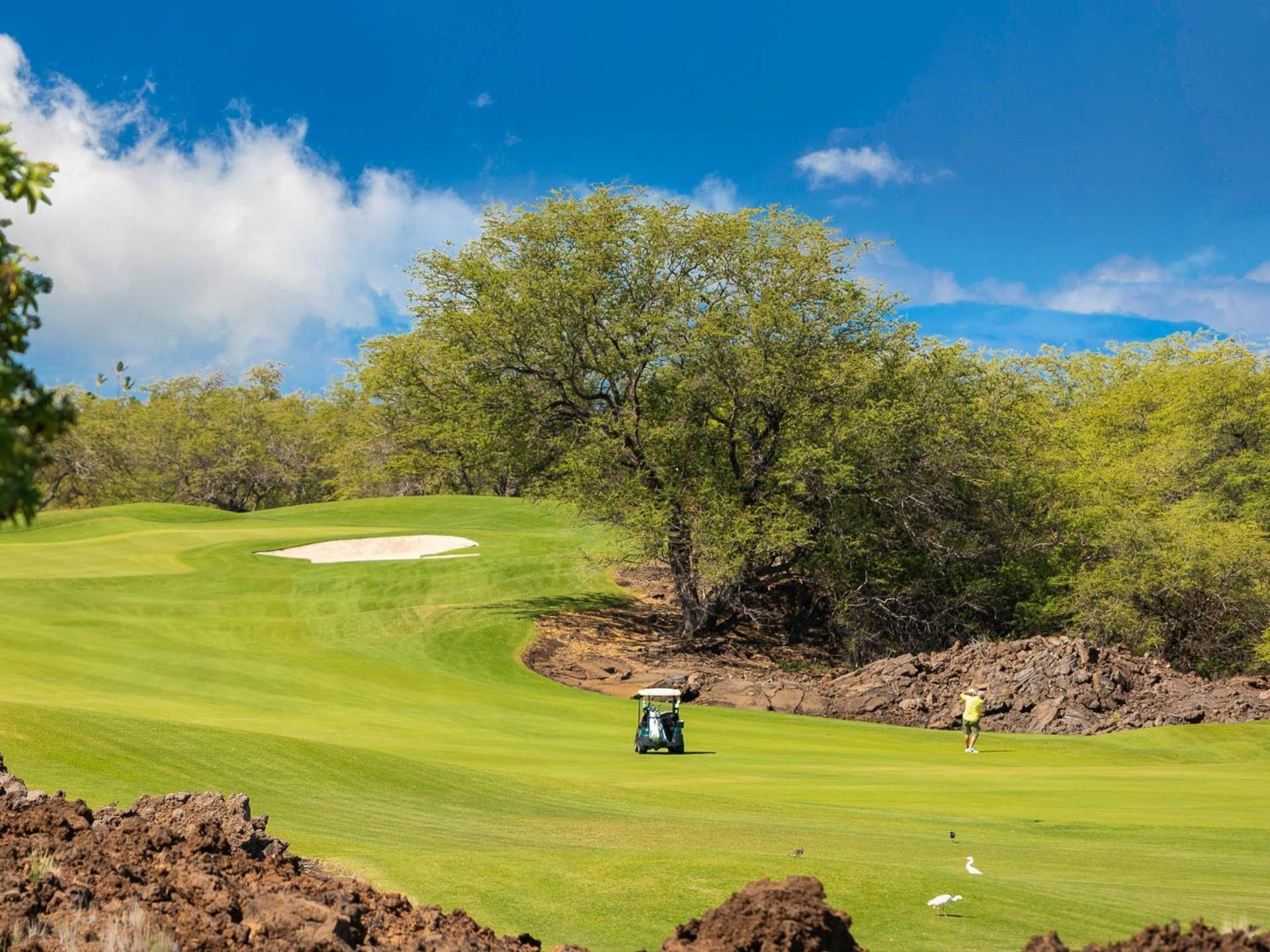 וויקולואה Hawaii Roma Elevated 4Br Kamilo Home With Golf Course View מראה חיצוני תמונה